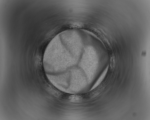 X0000093730714200711061001