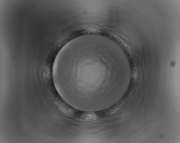 X0000093730715200711061001