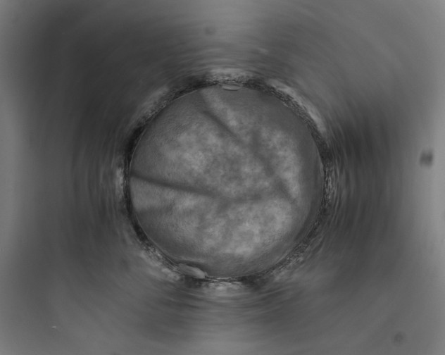 X0000093730716200711061001