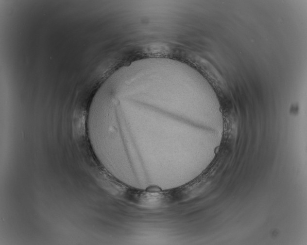 X0000093730717200711061000