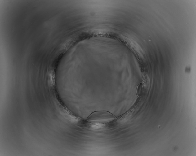 X0000093730718200711061000