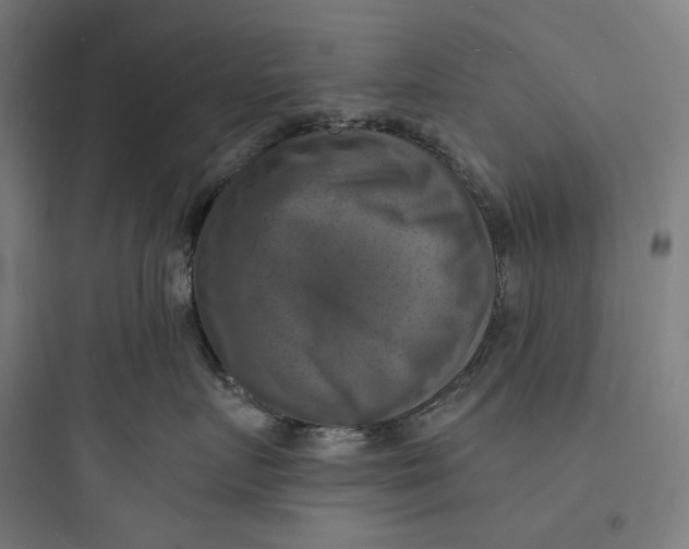 X0000093730719200711061000