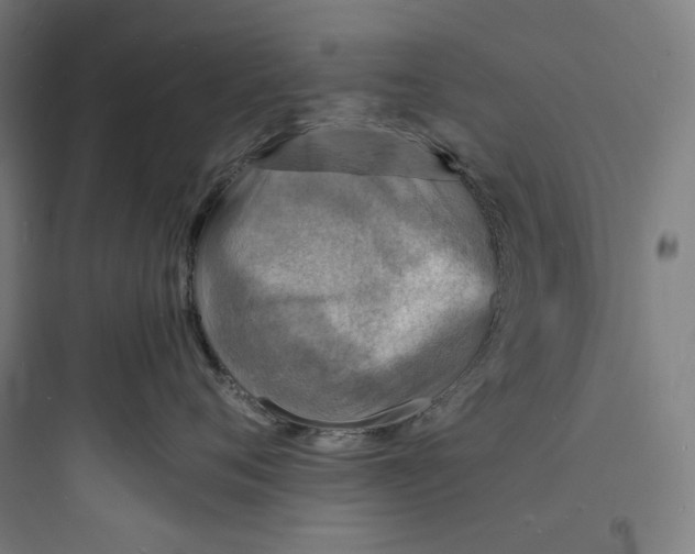 X0000093730720200711061000