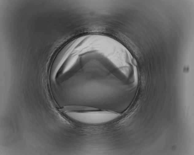 X0000093730721200711061000