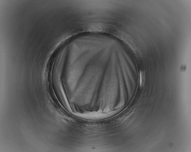 X0000093730723200711061000