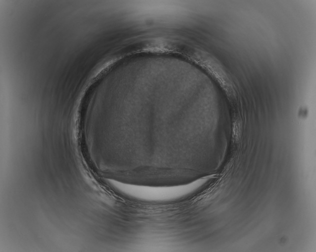 X0000093730724200711061000