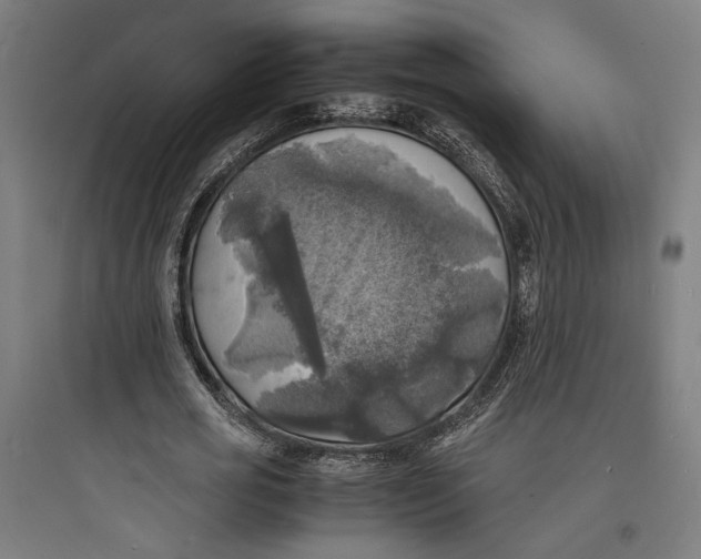 X0000093730725200711061000