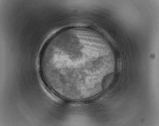 X0000093730726200711061000