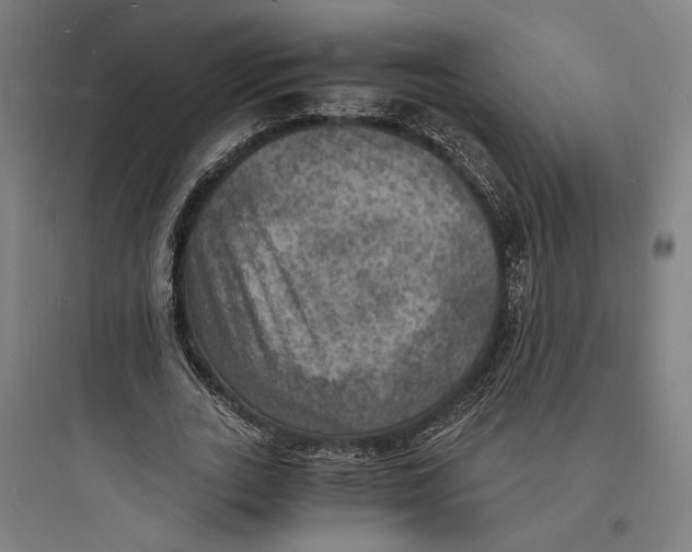 X0000093730727200711061000