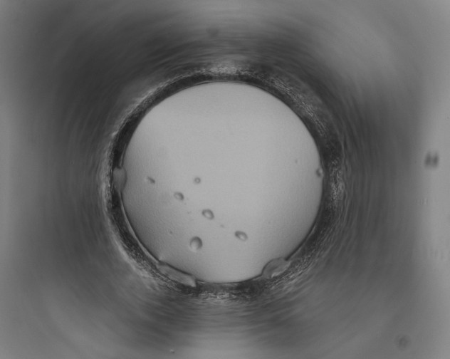 X0000093730728200711061000