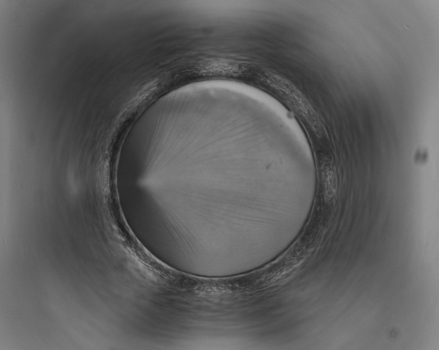 X0000093730729200711061000