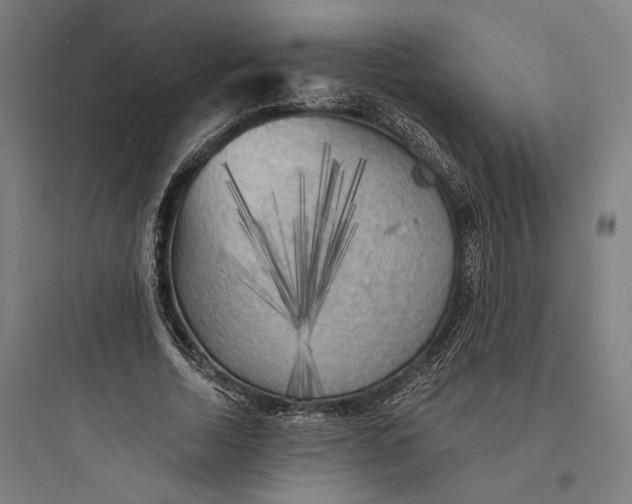 X0000093730730200711061000