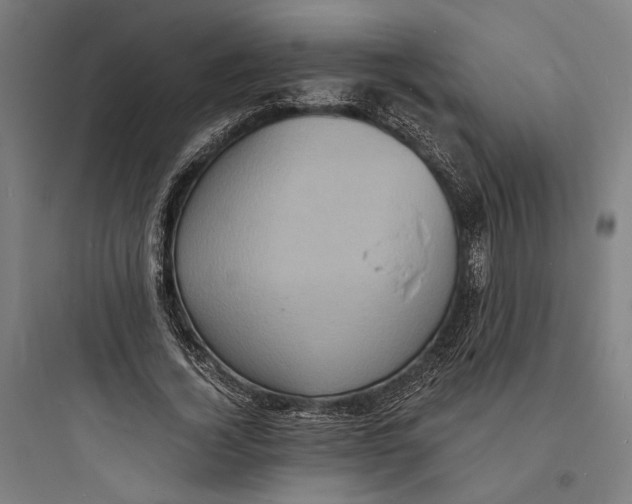 X0000093730732200711061000