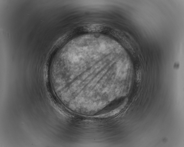 X0000093730733200711061000