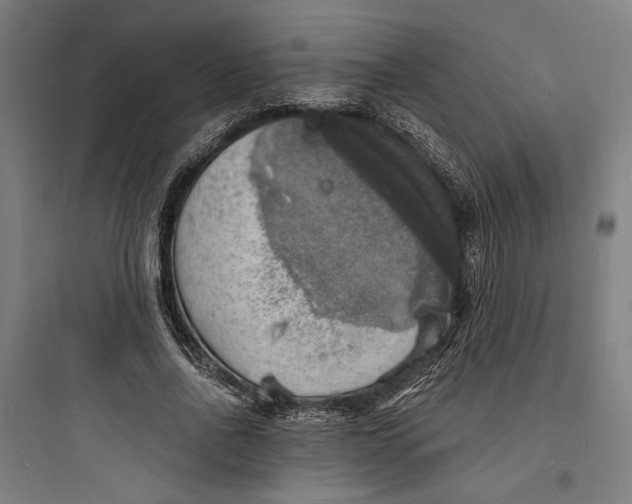 X0000093730734200711061000