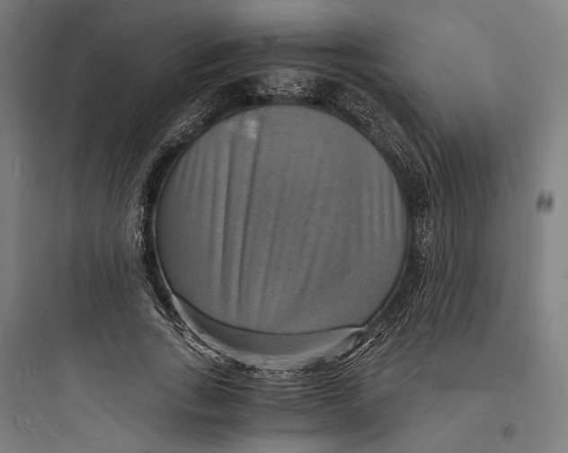 X0000093730735200711061000