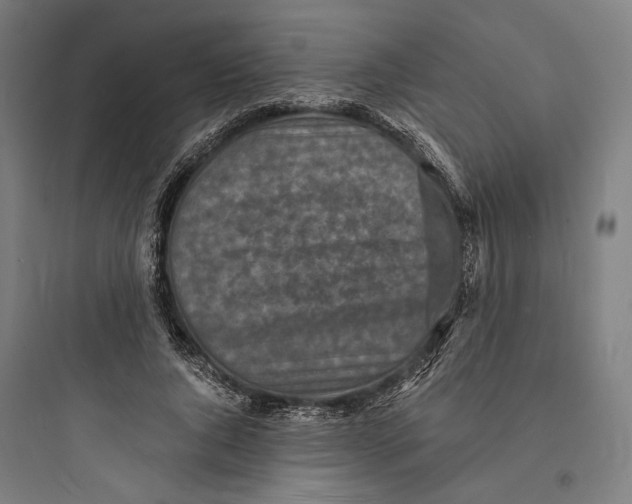 X0000093730736200711061000