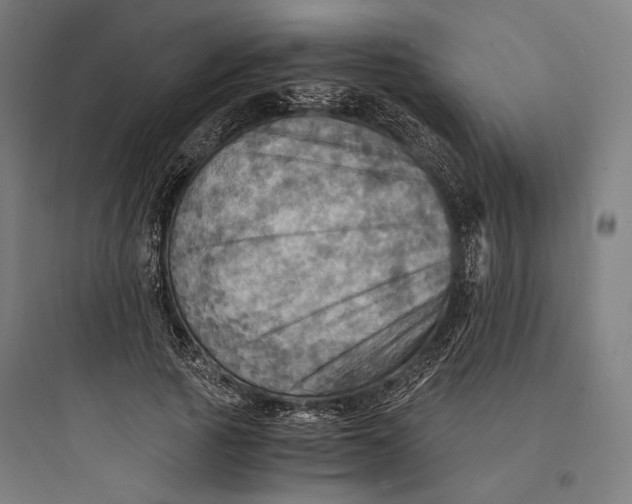 X0000093730737200711061000