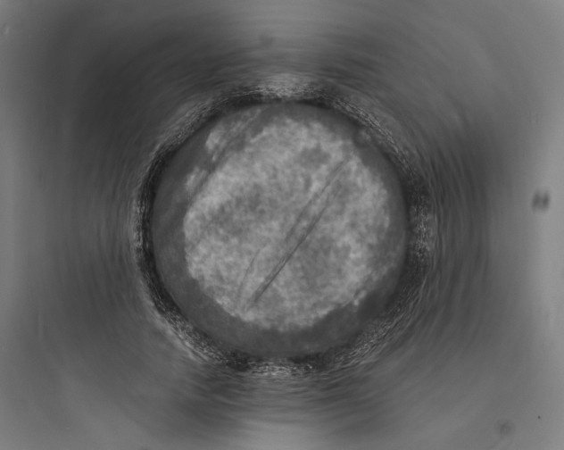 X0000093730738200711061000