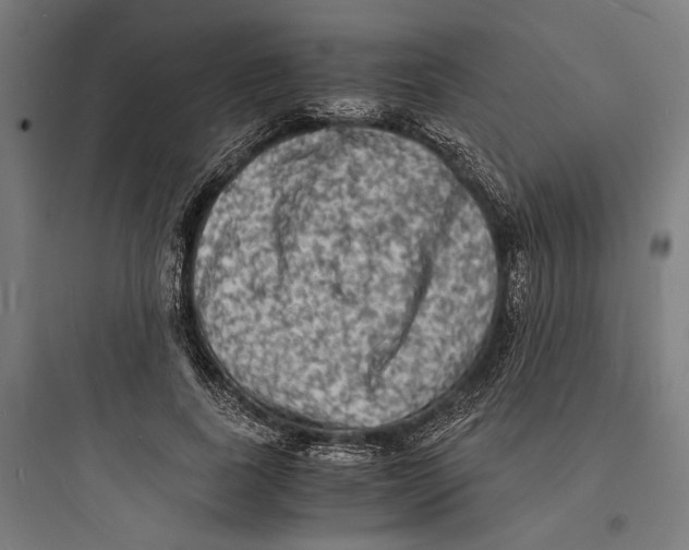 X0000093730739200711061000