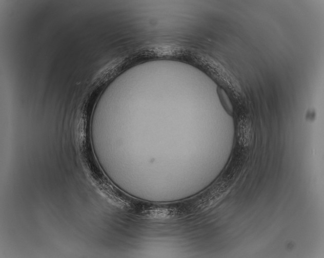 X0000093730740200711061000