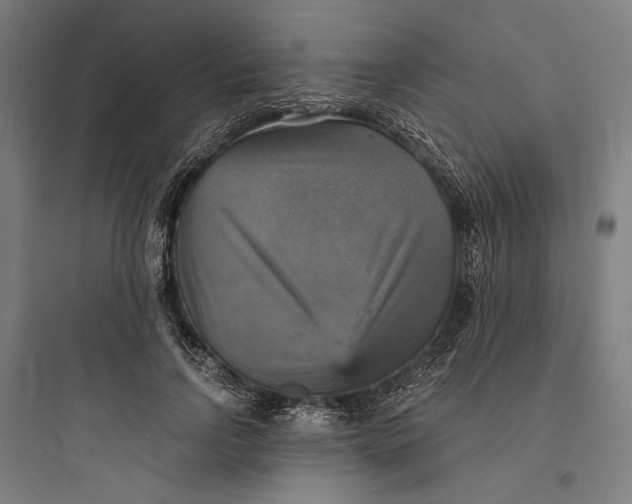 X0000093730742200711061000