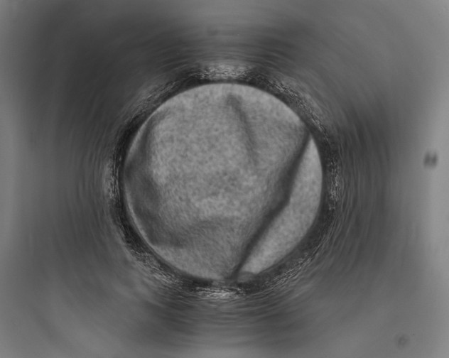 X0000093730743200711061000