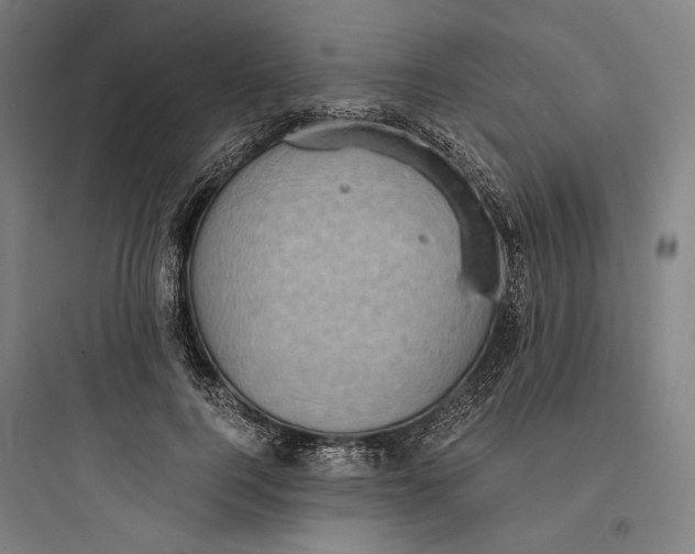 X0000093730744200711061000