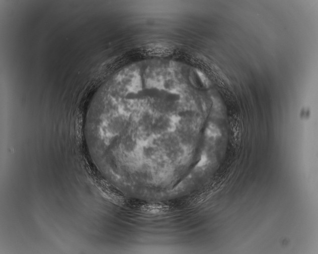 X0000093730745200711061000