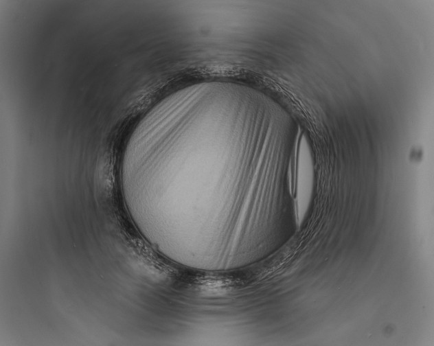 X0000093730746200711061000