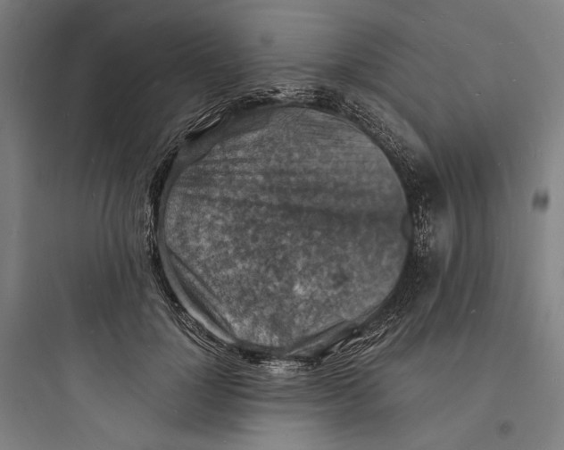 X0000093730748200711061000