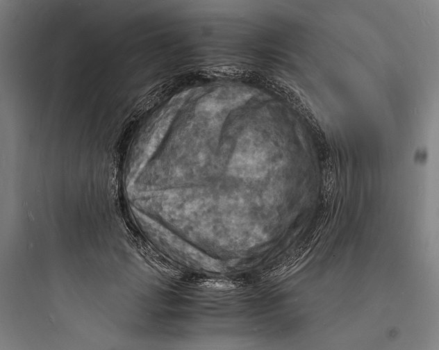 X0000093730749200711061000