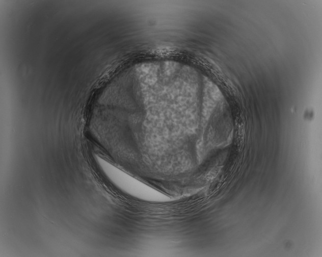 X0000093730750200711061000