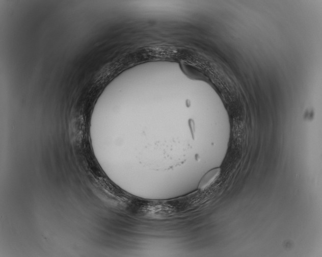 X0000093730752200711061000