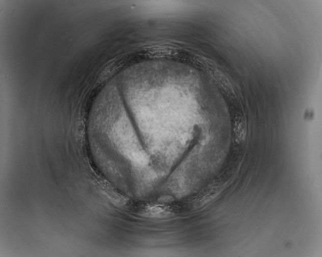 X0000093730753200711061000