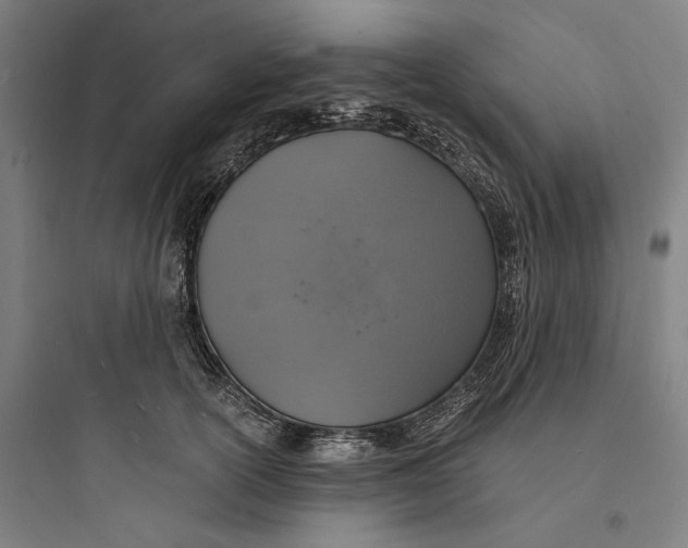 X0000093730754200711061000