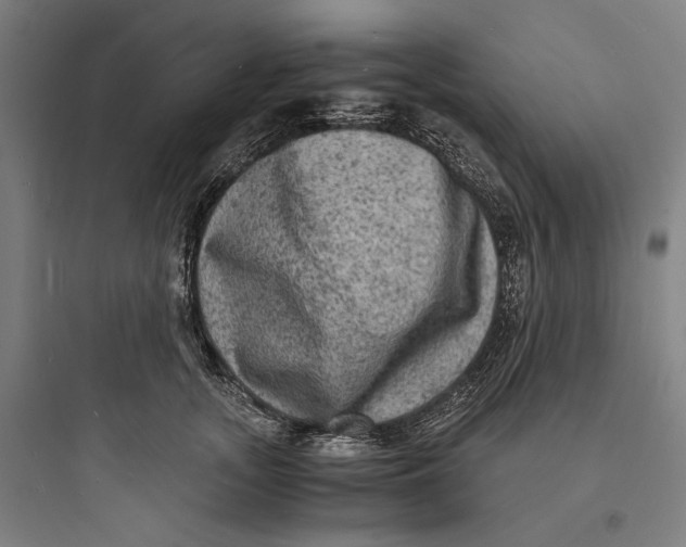 X0000093730755200711061000