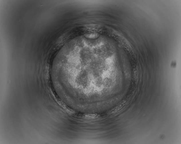 X0000093730757200711061000