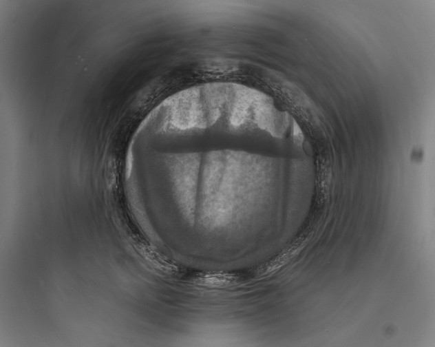 X0000093730758200711061000