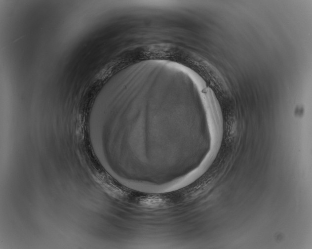 X0000093730759200711061000