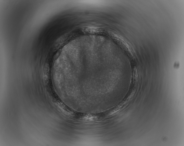 X0000093730760200711061000