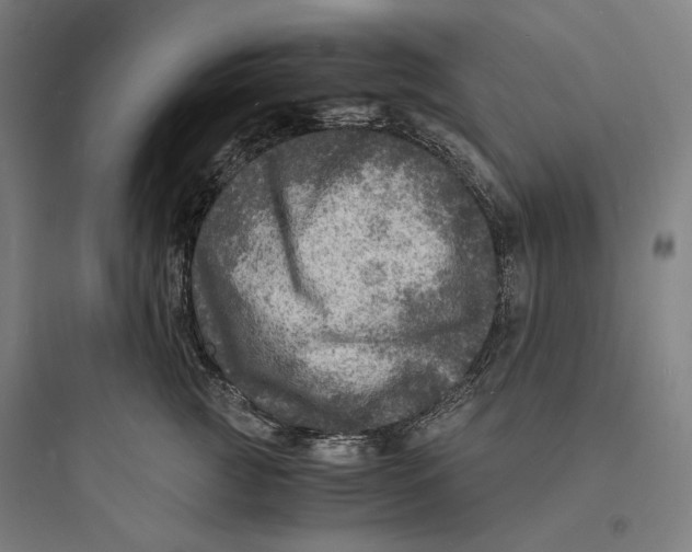 X0000093730761200711061000