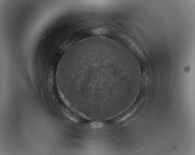 X0000093730762200711061000