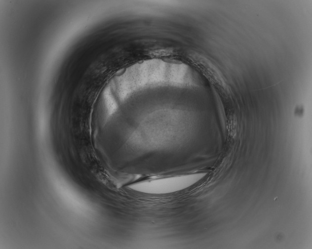 X0000093730763200711061000