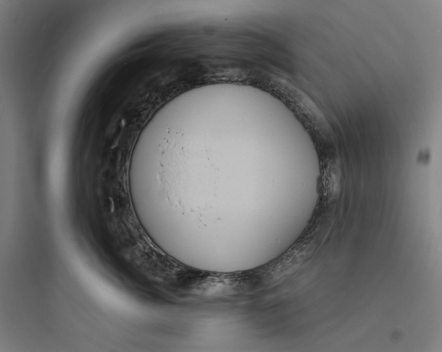 X0000093730764200711061000