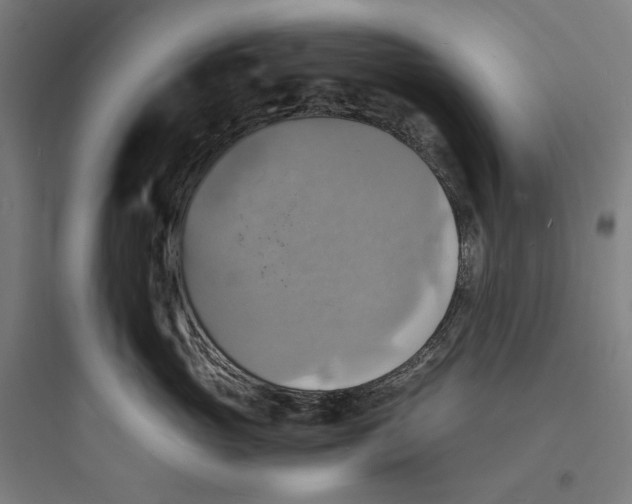 X0000093730765200711061000