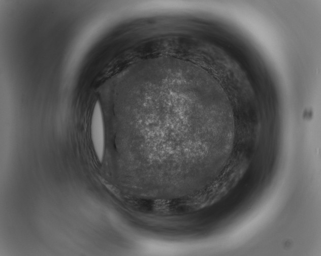 X0000093730766200711061000