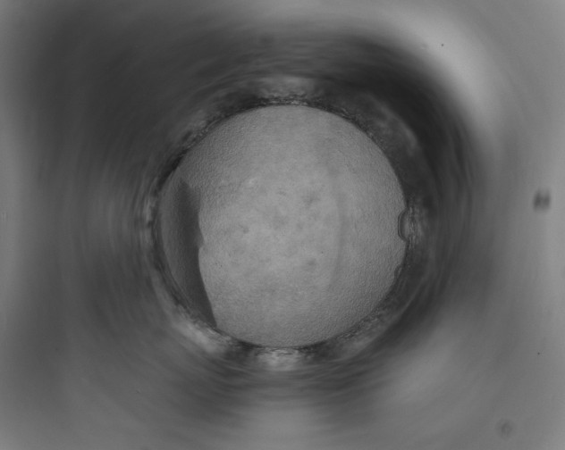 X0000093730767200711061000