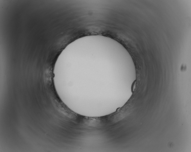 X0000093730768200711061000