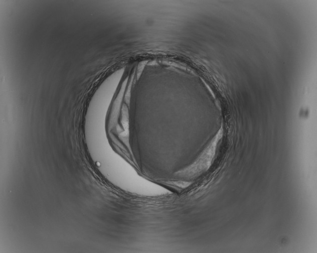 X0000093730769200711061000